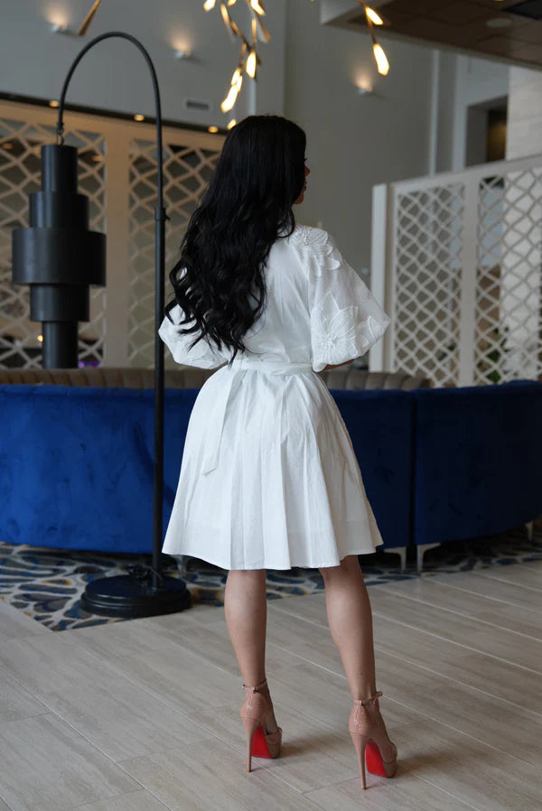 Ami midi dress