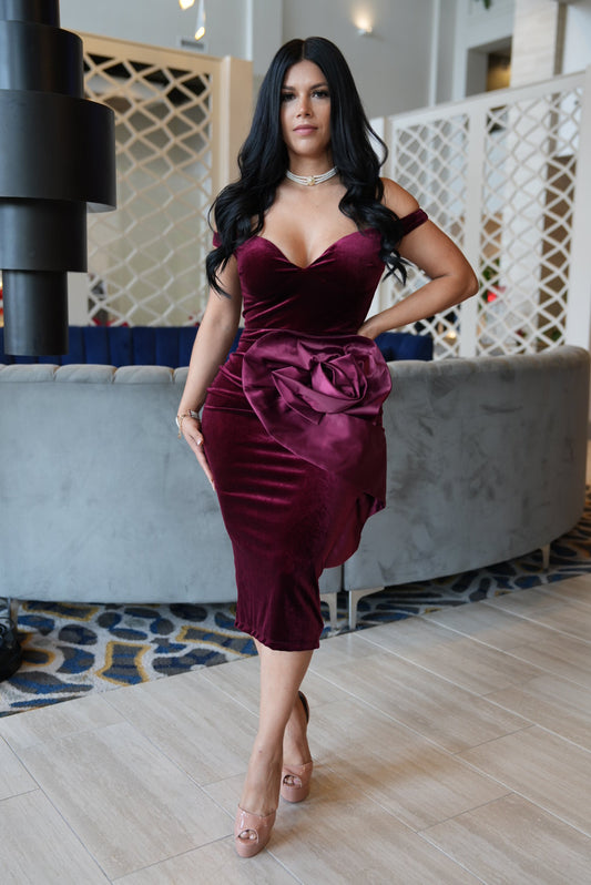 Florentia velvet burgandy dress